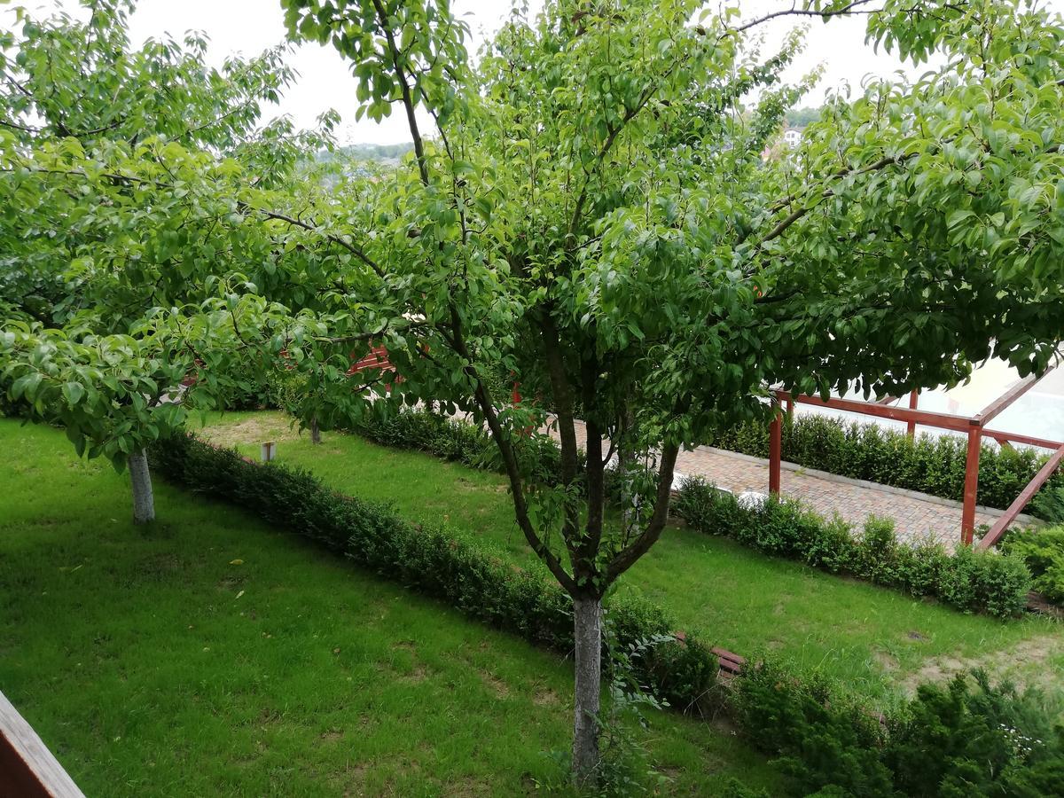 Grace Villa Codru 外观 照片